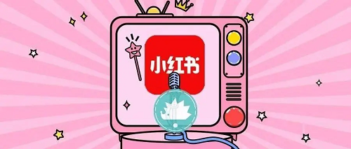 如何進行互聯(lián)網(wǎng)推廣