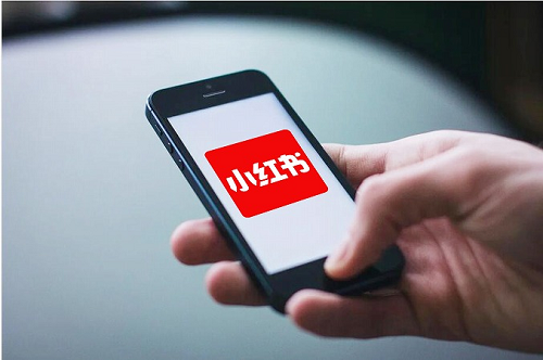 小紅書推廣寵物醫療方案 